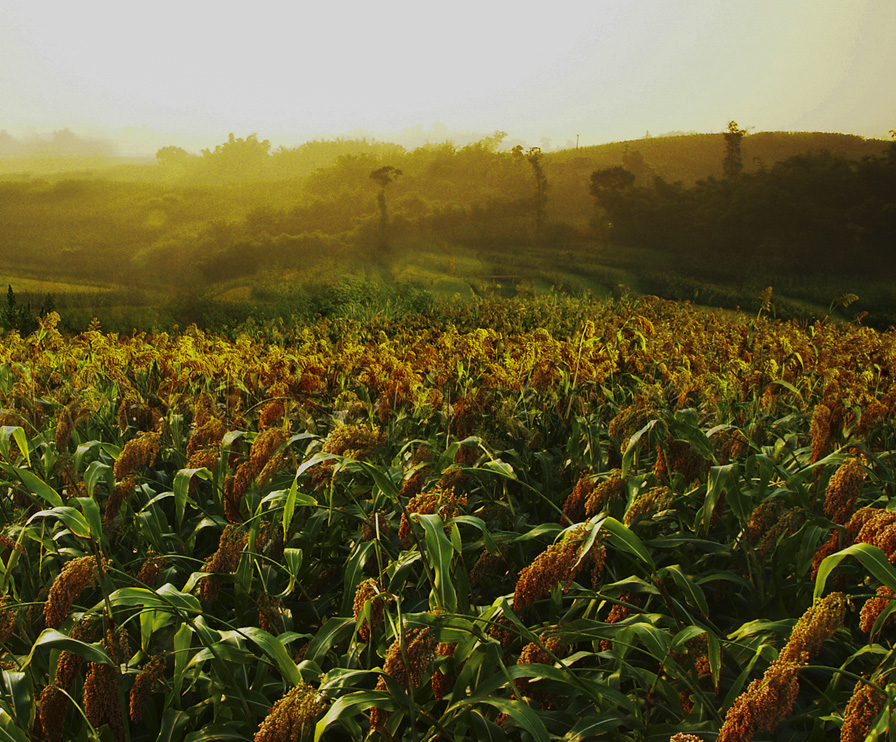 凯时K66官网 - 凯时优质运营商首页