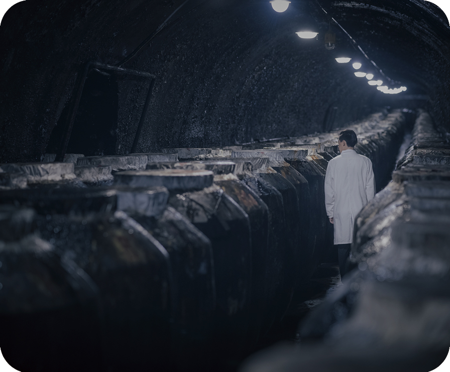 凯时K66官网 - 凯时优质运营商首页